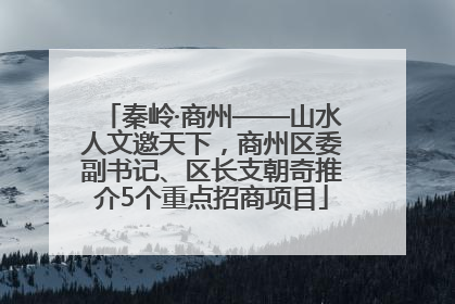 秦岭·商州——山水人文邀天下，商州区委副书记、区长支朝奇推介5个重点招商项目