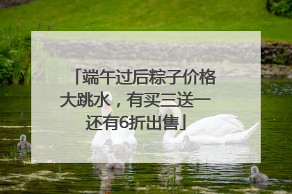 端午过后粽子价格大跳水，有买三送一还有6折出售