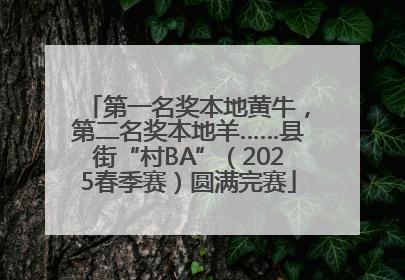 第一名奖本地黄牛，第二名奖本地羊……县街“村BA”（2025春季赛）圆满完赛
