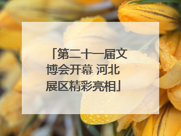第二十一届文博会开幕 河北展区精彩亮相