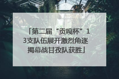 第二届“贡嘎杯”13支队伍展开激烈角逐 揭幕战甘孜队获胜
