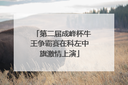 第二届成峰杯牛王争霸赛在科左中旗激情上演