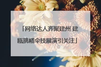 网络达人齐聚建州 建瓯挑幡伞技展演引关注