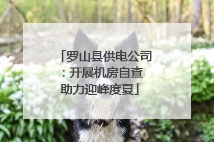 罗山县供电公司：开展机房自查 助力迎峰度夏