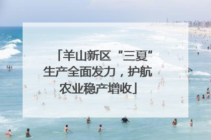 羊山新区“三夏”生产全面发力，护航农业稳产增收