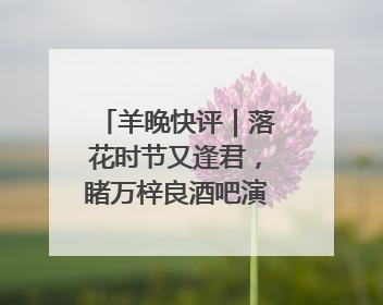 羊晚快评｜落花时节又逢君，睹万梓良酒吧演唱有感