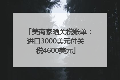 美商家晒关税账单：进口3000美元付关税4600美元