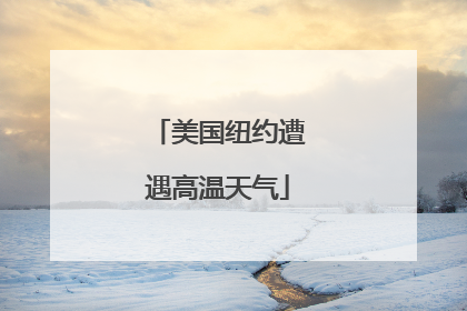 美国纽约遭遇高温天气