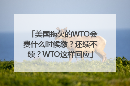 美国拖欠的WTO会费什么时候缴？还续不续？WTO这样回应
