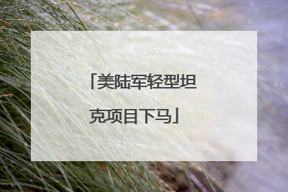 美陆军轻型坦克项目下马