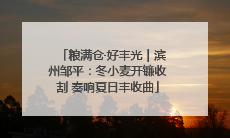 粮满仓·好丰光｜滨州邹平：冬小麦开镰收割 奏响夏日丰收曲