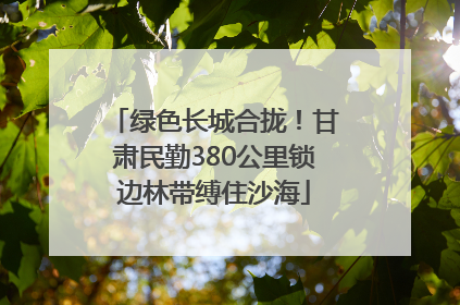 绿色长城合拢！甘肃民勤380公里锁边林带缚住沙海