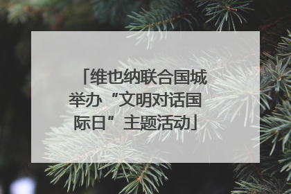 维也纳联合国城举办“文明对话国际日”主题活动