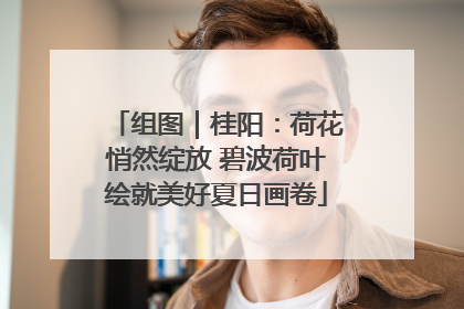 组图｜桂阳：荷花悄然绽放 碧波荷叶绘就美好夏日画卷