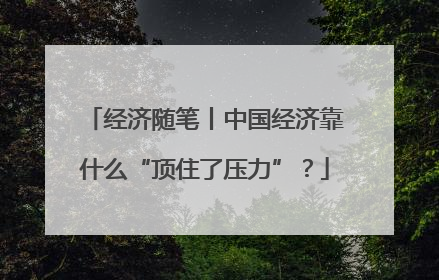 经济随笔丨中国经济靠什么“顶住了压力”？
