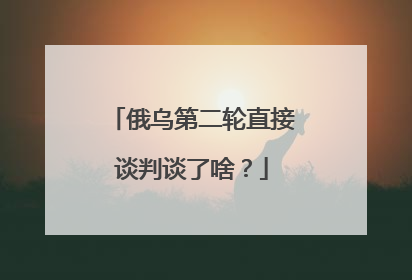 俄乌第二轮直接谈判谈了啥？