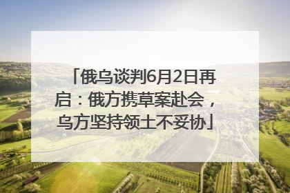 俄乌谈判6月2日再启：俄方携草案赴会，乌方坚持领土不妥协