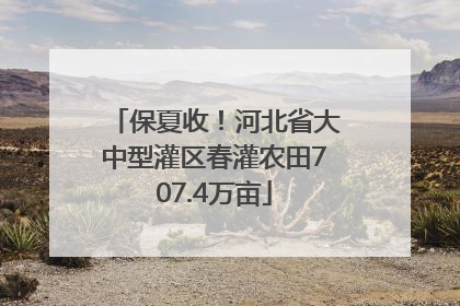 保夏收！河北省大中型灌区春灌农田707.4万亩