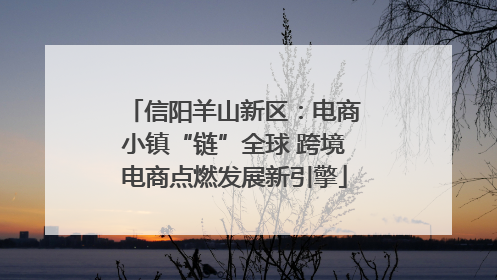 信阳羊山新区：电商小镇“链”全球 跨境电商点燃发展新引擎