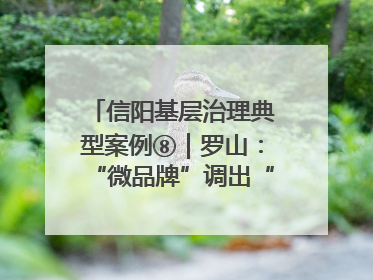 信阳基层治理典型案例⑧｜罗山：“微品牌”调出“大和谐”