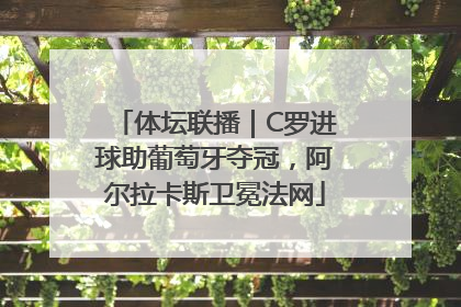 体坛联播｜C罗进球助葡萄牙夺冠，阿尔拉卡斯卫冕法网
