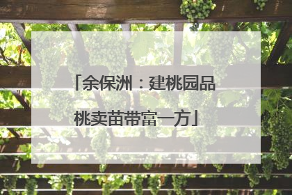 余保洲：建桃园品桃卖苗带富一方