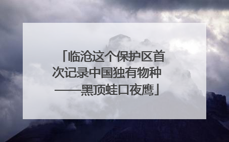 临沧这个保护区首次记录中国独有物种——黑顶蛙口夜鹰