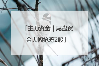 主力资金｜尾盘资金大幅抢筹2股