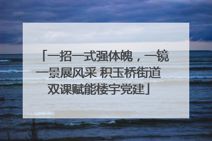 一招一式强体魄，一镜一景展风采 积玉桥街道双课赋能楼宇党建