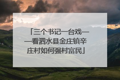 三个书记一台戏——看泗水县金庄镇辛庄村如何强村富民