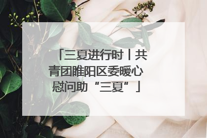 三夏进行时丨共青团睢阳区委暖心慰问助“三夏”