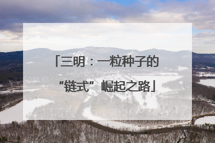 三明：一粒种子的“链式”崛起之路