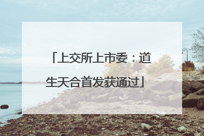 上交所上市委：道生天合首发获通过