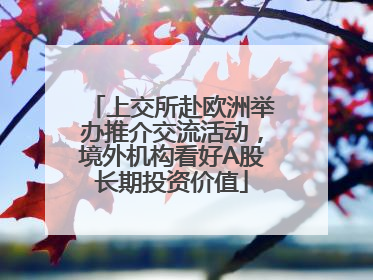 上交所赴欧洲举办推介交流活动，境外机构看好A股长期投资价值