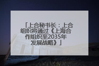 上合秘书长：上合组织将通过《上海合作组织至2035年发展战略》