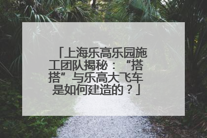 上海乐高乐园施工团队揭秘：“搭搭”与乐高大飞车是如何建造的？