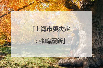 上海市委决定：张鸣履新