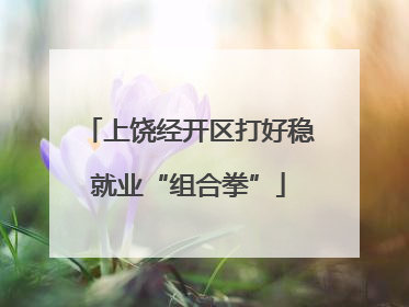 上饶经开区打好稳就业“组合拳”