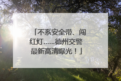 不系安全带、闯红灯……德州交警最新高清曝光！