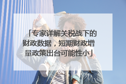 专家详解关税战下的财政数据，短期财政增量政策出台可能性小