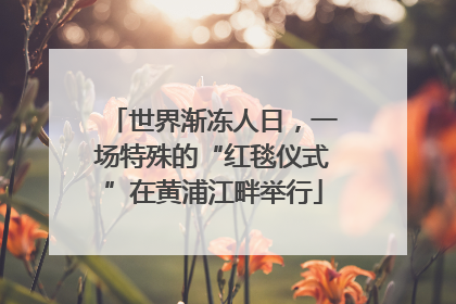 世界渐冻人日，一场特殊的“红毯仪式”在黄浦江畔举行