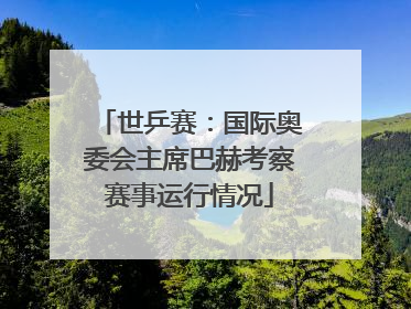 世乒赛：国际奥委会主席巴赫考察赛事运行情况