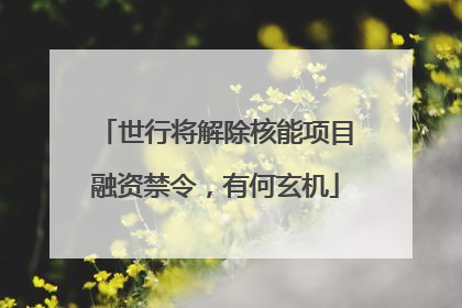 世行将解除核能项目融资禁令，有何玄机