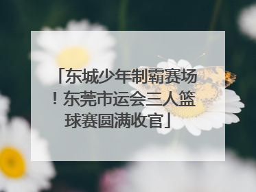 东城少年制霸赛场！东莞市运会三人篮球赛圆满收官