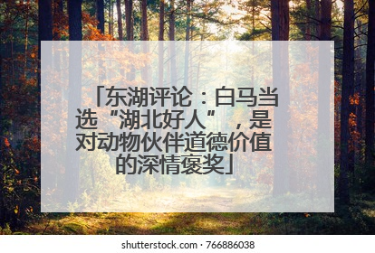 东湖评论：白马当选“湖北好人”，是对动物伙伴道德价值的深情褒奖