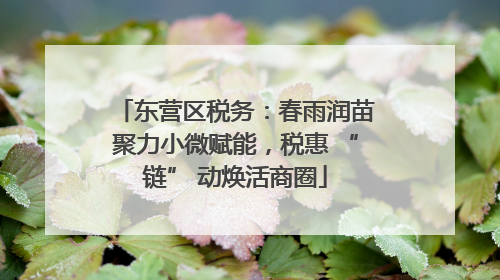 东营区税务：春雨润苗聚力小微赋能，税惠 “链” 动焕活商圈