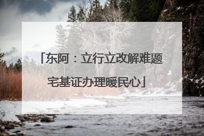 东阿：立行立改解难题 宅基证办理暖民心