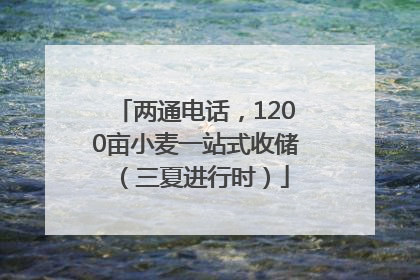 两通电话，1200亩小麦一站式收储（三夏进行时）