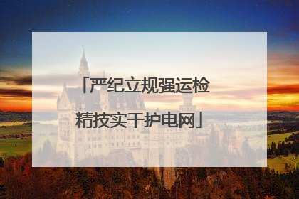 严纪立规强运检 精技实干护电网