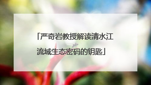 严奇岩教授解读清水江流域生态密码的钥匙